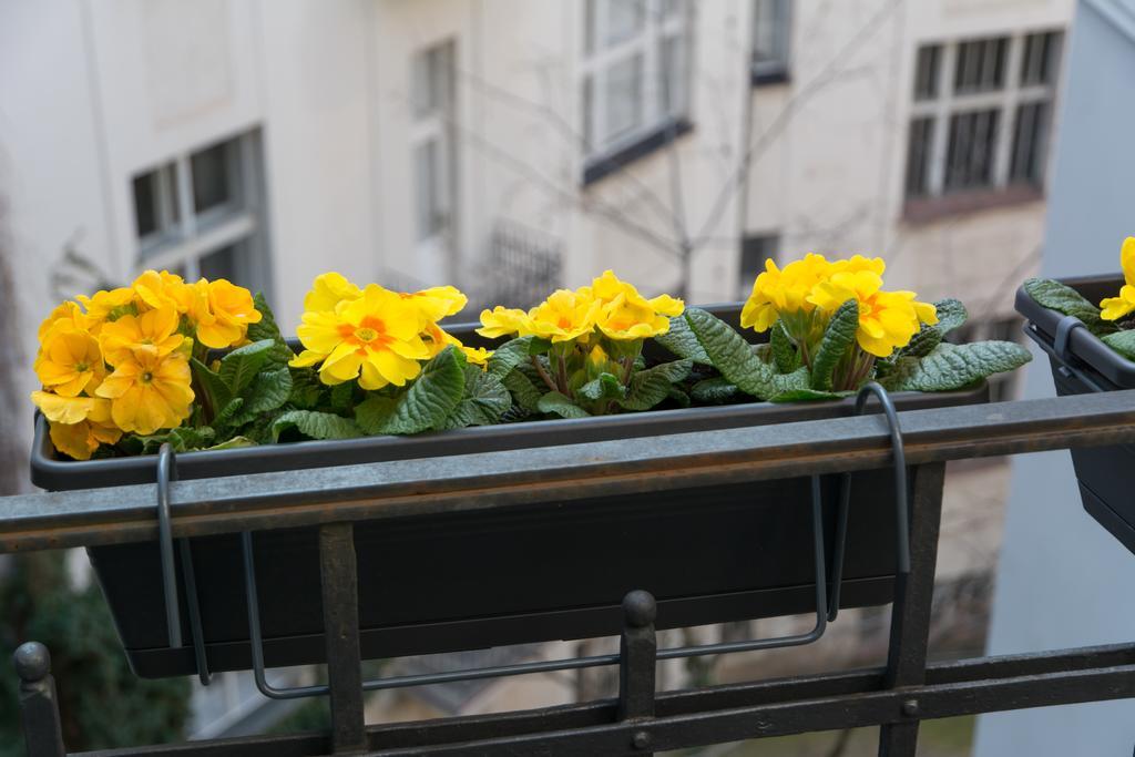 Decadent Art Deco Balcony Apartment In Old Town Prága Kültér fotó